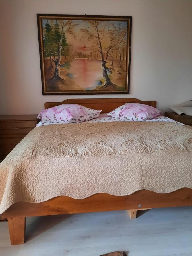 Pensiunea Cristiana Curtea de Argeş Eksteriør bilde